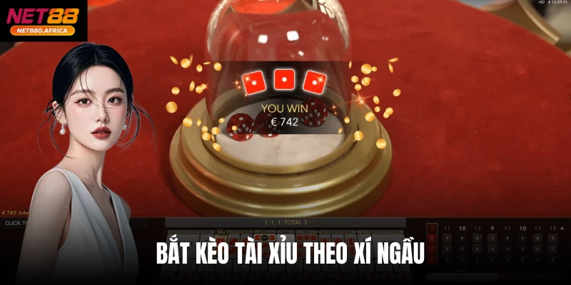 Bắt Kèo Tài Xỉu Theo Xí Ngầu - Net88 Tiết Lộ Chiêu Hốt Bạc
