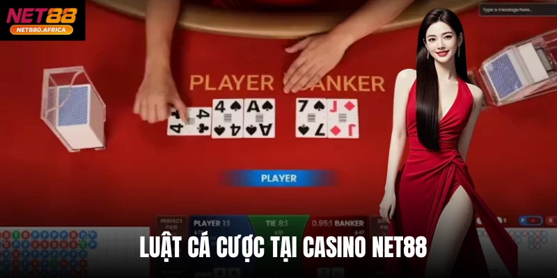 Luật cá cược tại casino Net88