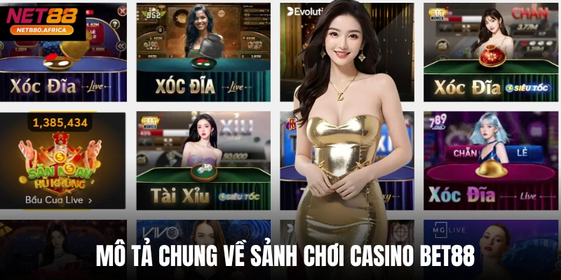 Mô tả chung về sảnh chơi casino Net88