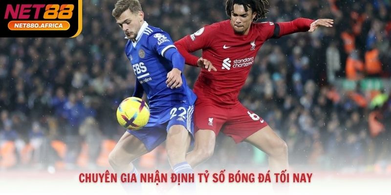 Chuyên gia nhận định tỷ số bóng đá tối nay