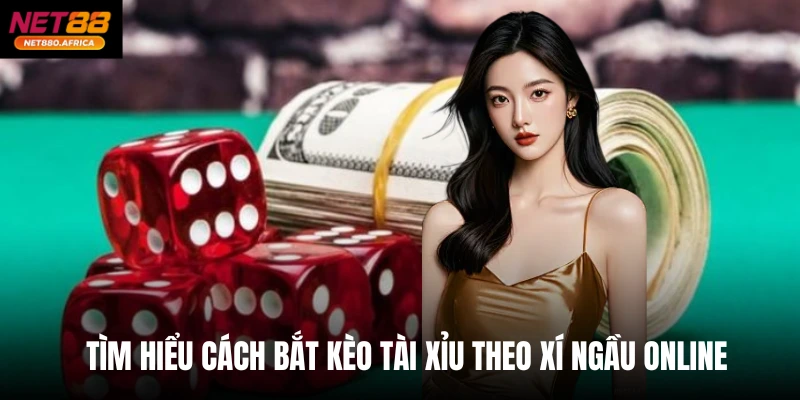 Tìm hiểu cách bắt kèo Tài xỉu theo xí ngầu online